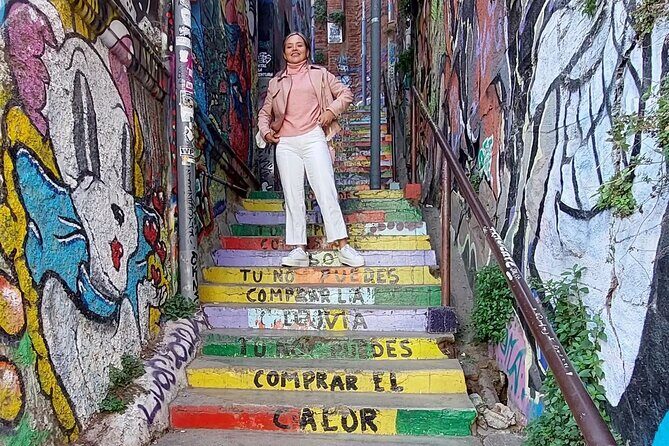 Private Full-Day Tour to Valparaiso Viña del Mar and Reñaca - Final Thoughts: Is This Tour Right for You?