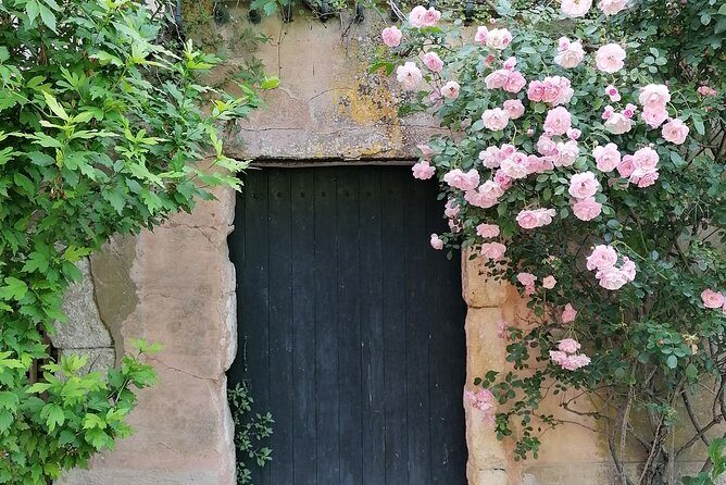 Private Full Day Tour Villages of the Luberon from Avignon - The Itinerary Breakdown