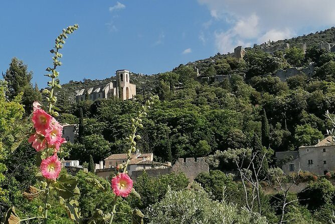 Private Full Day Tour Villages of the Luberon from Avignon - Authentic Experiences and Stunning Views