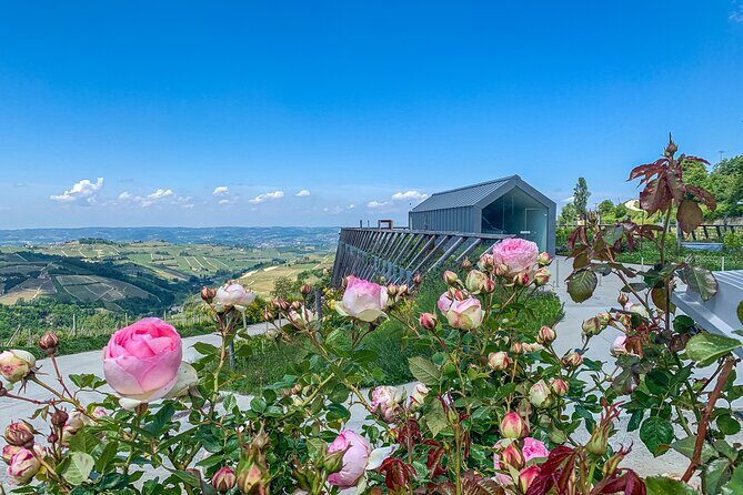 Private Full Day tour with fellow foodie as your guide - Exploring the Langhe Region: A Rich Tapestry of Flavors and Views