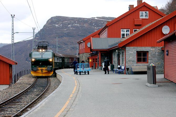 Private Full Day Trip From Oslo To Bergen with Sognefjord And Flam Railway - Practical Tips for Making the Most of Your Day
