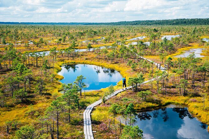 Private Full-Day Trip to Jurmala and Great Kemeri Bog Boardwalk - Exploring Latvia’s Coastal and Bogscapes: A Complete Review