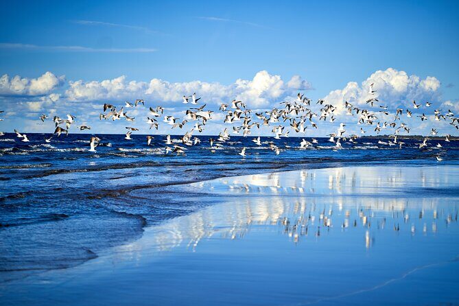 Private Full-Day Trip to Jurmala and Great Kemeri Bog Boardwalk - Who Is This Tour Best Suited For?
