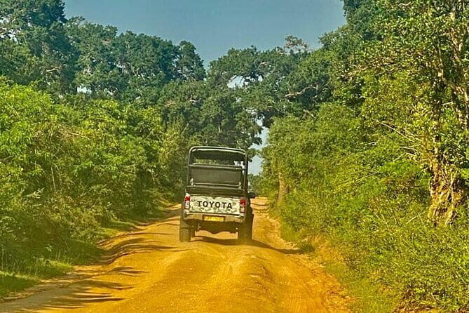 Private Full Day Udawalawe Safari Trip with Lunch - Final Thoughts