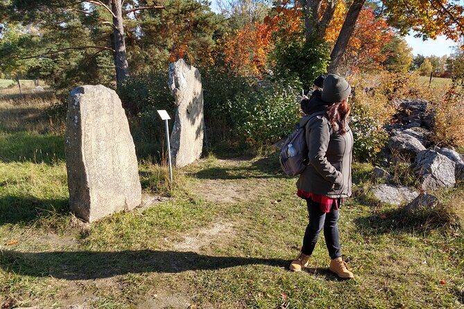 Private Full Day Viking History Tour from Stockholm Including Sigtuna and Uppsala - Who Will Love This Tour?
