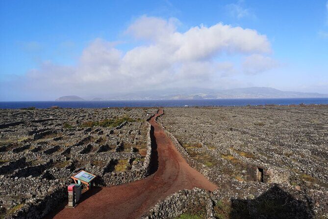 Private full day visit to Pico, a first impression - Authentic Insights from Traveler Reviews