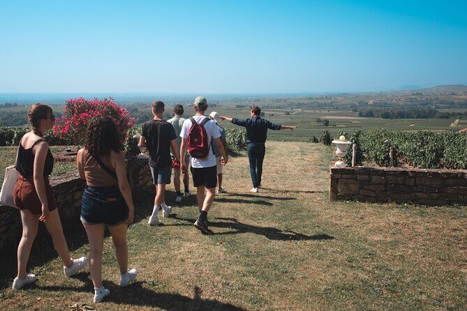 Private Full Day Wine and Food Tour from Lyon in Beaujolais - Key Points