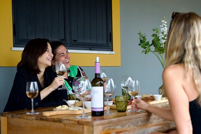 Private Full Day Wine Tasting Tour from Lisbon to Setubal - A Deep Dive into the Experience