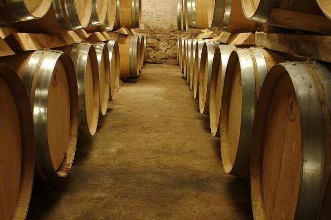 Private Full Day Wine Tour in Provence - Exploring Provence’s Wine Lands: An Honest Look at the Private Full Day Wine Tour