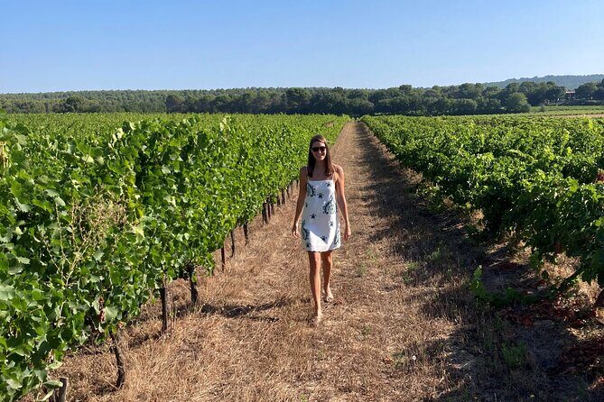 Private Full Day Wine Tour in Provence - Transportation and Comfort
