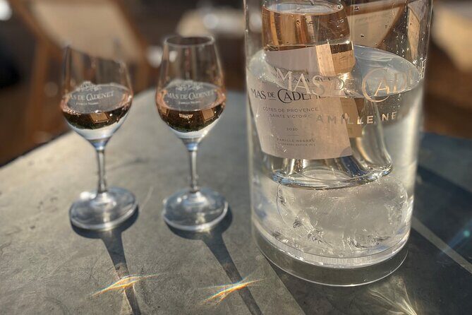 Private Full Day Wine Tour in Provence - The Sum Up: Is This Tour Right for You?