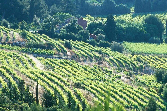 Private Full Day Wine Tour in Provence - FAQ