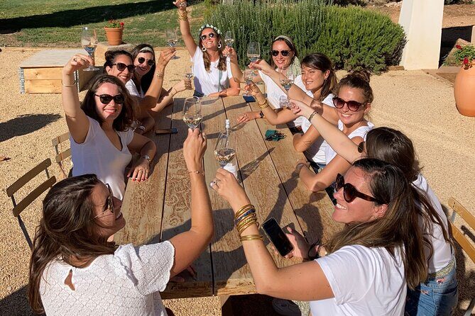 Private Full Day Wine Tour in Provence From Marseille cruise port - Final Thoughts: Is This Tour Worth It?