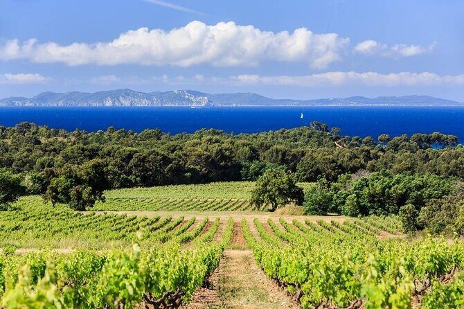 Private Full Day Wine Tour in Provence from Toulon Cruise Port - Exploring the Provence Wine Tour: A Detailed Look