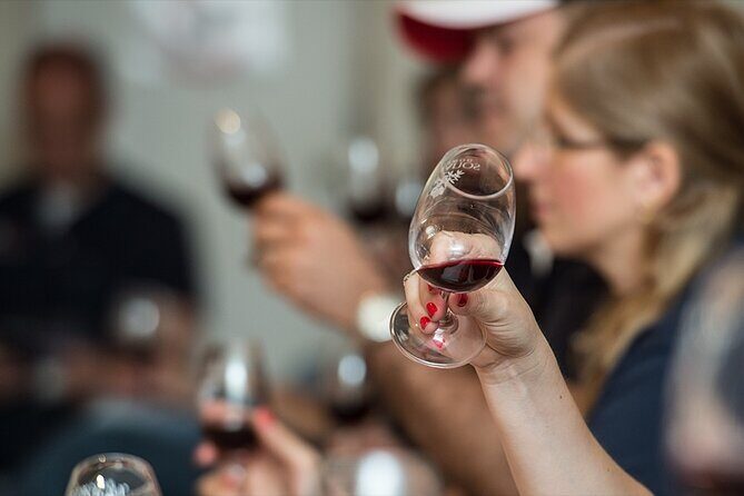 Private Full Day Wine Tour in Provence from Toulon Cruise Port - What We Love About This Tour