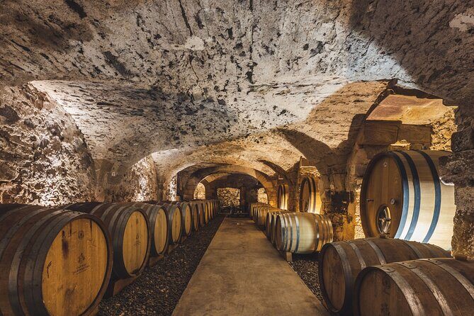 Private Full Day Wine Tour in Provence from Toulon Cruise Port - Who Is This Tour Best For?