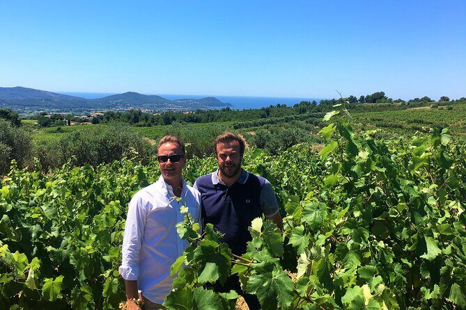 Private Full Day Wine Tour in Provence from Toulon Cruise Port - Frequently Asked Questions