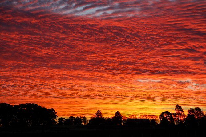 Private full-day wine tour in the Hunter Valley - Discover the Hunter Valley Through a Private Full-Day Wine Tour