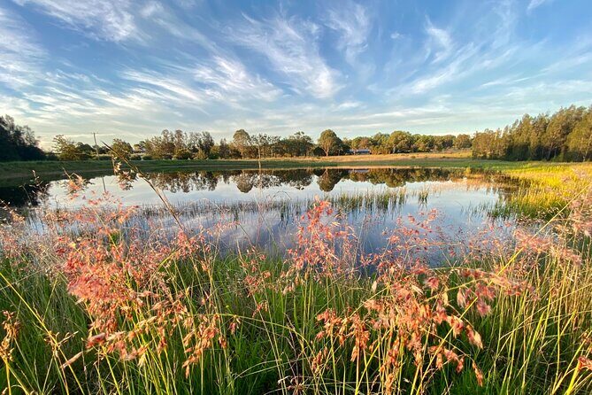 Private full-day wine tour in the Hunter Valley - Who Would Love This Tour?