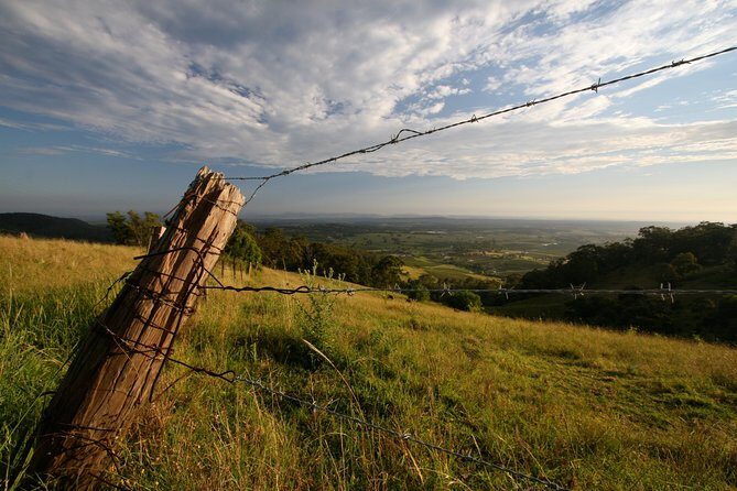 Private full-day wine tour in the Hunter Valley - FAQ