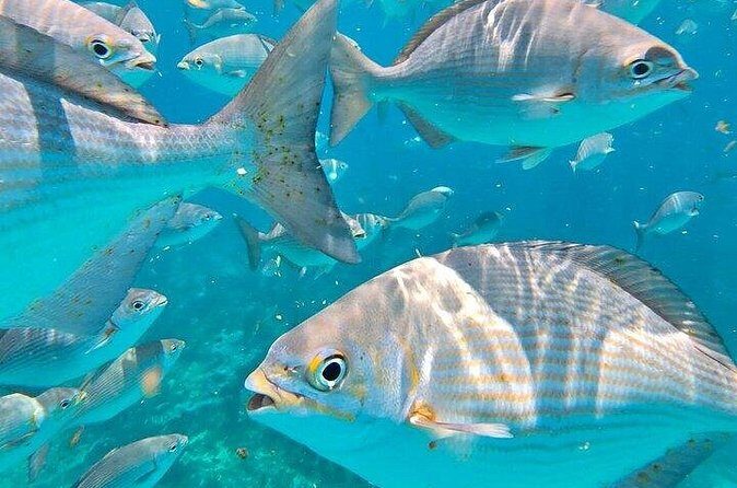 Private Fun Fishing Charter - FAQ