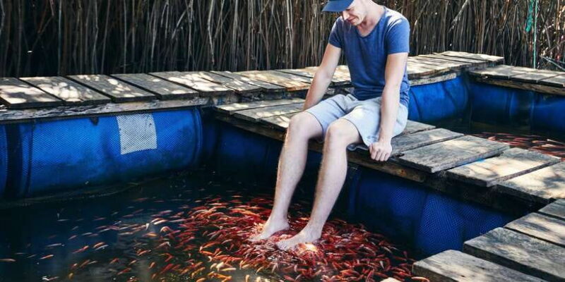 Private Galle and Bentota Day-Tour From Colombo - Key Points