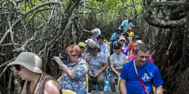 Private Galle and Bentota Day-Tour From Colombo - A closer look at what makes this tour worth considering