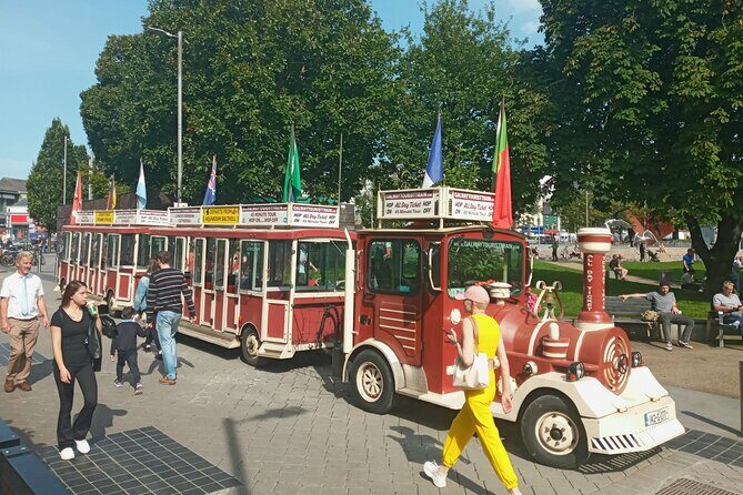 Private Galway 2hr. Walking tour with local expert Ger - A Deep Dive into the Galway Experience