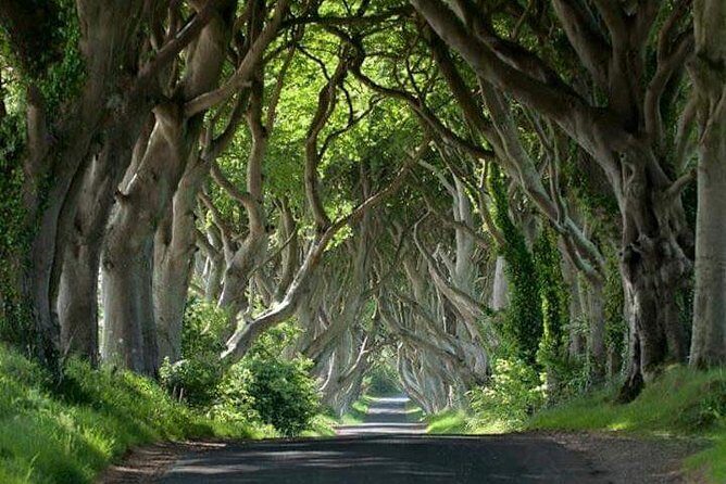 Private Game of Thrones including Giant's Causeway Causeway Coast Rope Bridge - Discover Northern Ireland in Style with a Private Game of Thrones Tour
