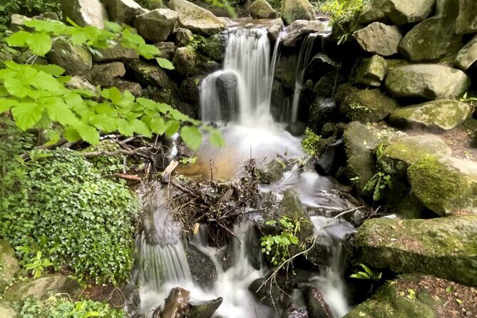 Private Garden of Ireland Wicklow Tour from Dublin - Exploring the Wicklow Landscape