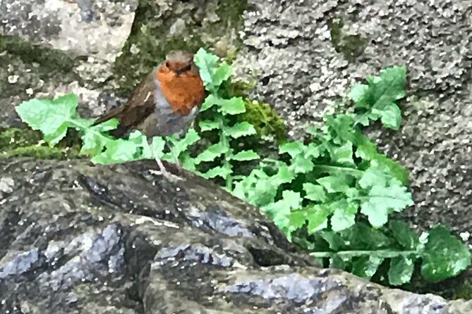 Private Garden of Ireland Wicklow Tour from Dublin - Final Thoughts