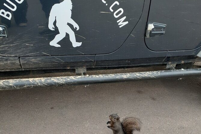 Private Garden of the Gods Jeep Tour - Final Thoughts