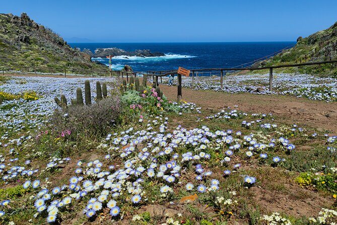 Private Garden Tour in Central Coast of Chile with Lunch included - Frequently Asked Questions