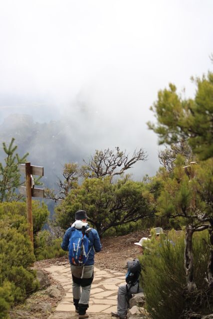 Private - Gastro Hike with Levada Walk and Local Food - Exploring the Details of the Tour