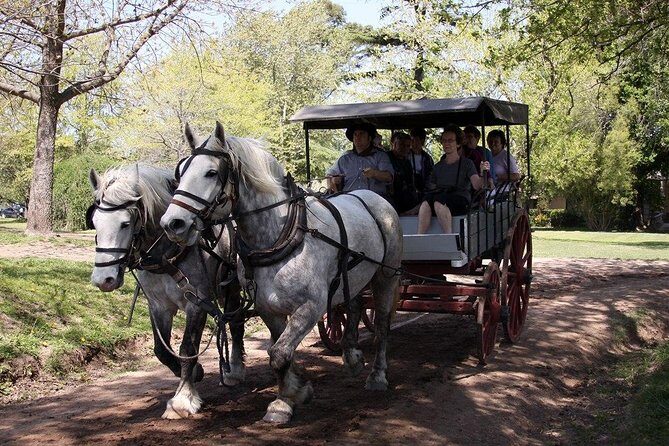 Private GAUCHO TOUR - FULL DAY TRIP Guided in EN, SPA or FR - Argentina - What We Loved