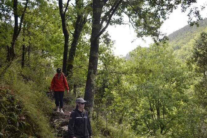 Private Geres National Park Tour - The Value of a Guided Private Tour