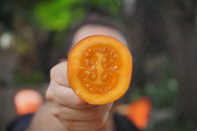 Private Getsemani Family Fruit Experience in Cartagena - Key Points