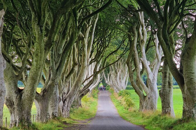 Private Giants Causeway Express Tour - Who is this tour perfect for?