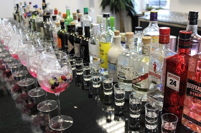 Private gin tasting with a professional bartender in Trier - Who Will Love This Tour?
