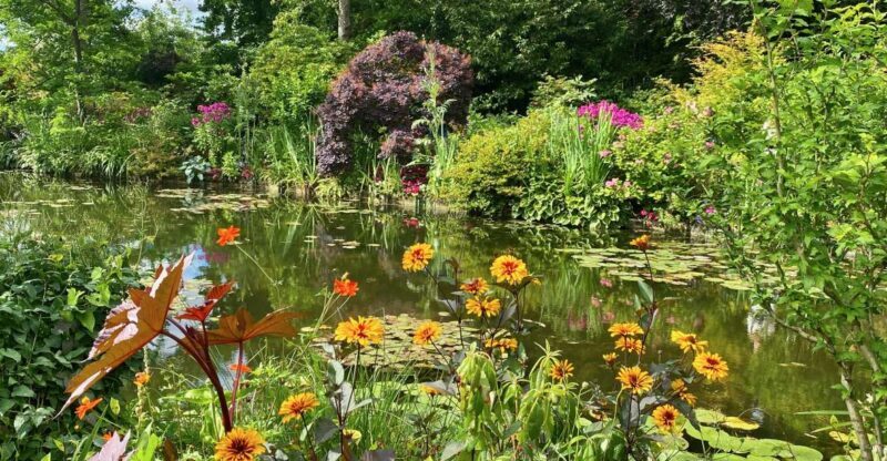 Private Giverny Half-day Trip from Paris by Mercedes - Transport and Comfort: How It Enhances Your Day