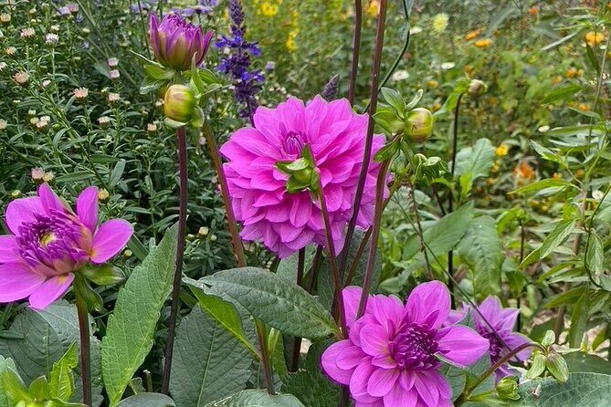 Private Giverny Roundtrip and Entrance Ticket from Paris - Final Thoughts