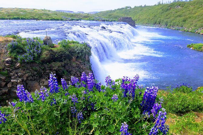 Private Golden Circle Tour with Airport Pick up - Is It Worth the Price?