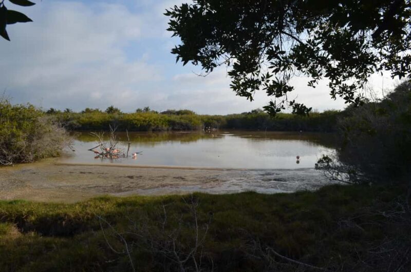Private: Good Lagoon Exploration in Jaragua National Park - Final Thoughts: Who Would Love This Tour