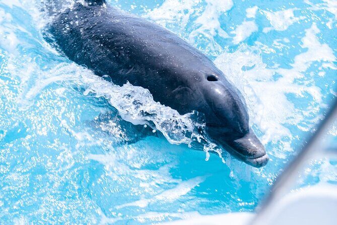 Private Grace Bay Boat Sunset Tour with Pickup - The Authentic Charm of Turks and Caicos from the Water