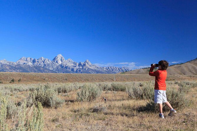 Private Grand Teton Wildlife Safari Tour - FAQs