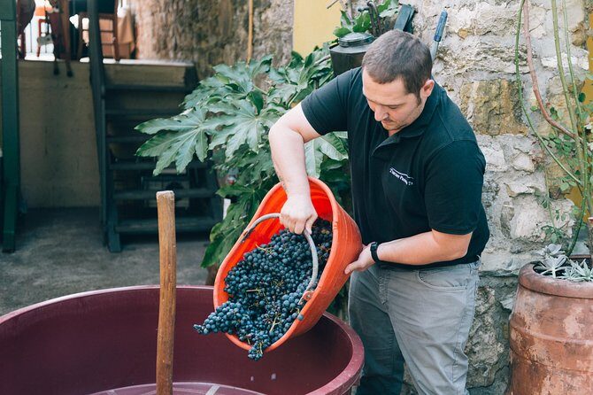 Private Grape stomping at Chianti Farmhouse - In-Depth Review of the Chianti Farmhouse Tour