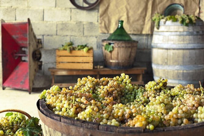 Private Grape stomping in Chianti from Florence - Final Thoughts: Is This Tour Right for You?