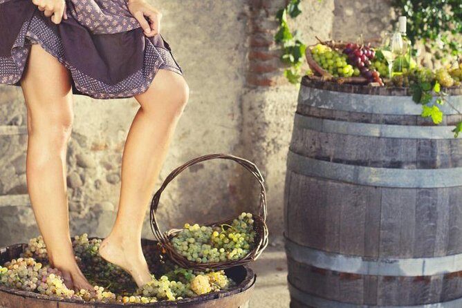 Private Grape stomping in Chianti from Siena - The Details of the Tour Journey