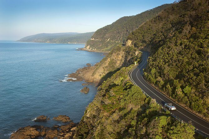 Private Great Ocean Road and Twelve Apostles Tour from Melbourne - A Thorough Look at the Tour Experience