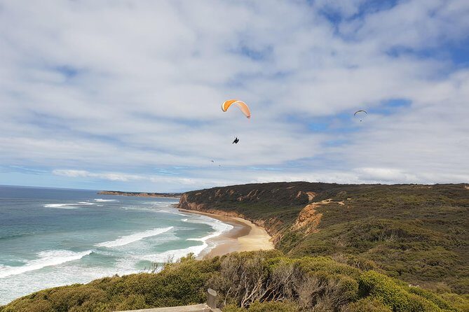 Private Great Ocean Road Day Trip from Melbourne - Who Should Consider This Tour?